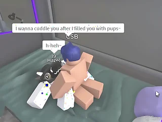 Pet